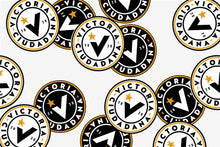 Cargar imagen en el visor de la galería, Pegatinas Victoria Ciudadana 3&quot;x 3&quot;
